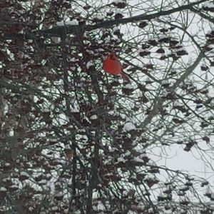 Meet your Posher, Kimberlee